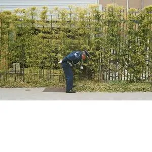 Good luck and do your best